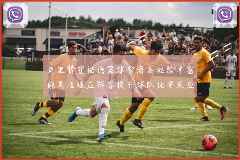 库里赞霍福德篮球智商高经验丰富能灵活适应阵容提升球队化学反应