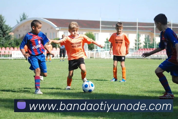 半岛体育平台生态图