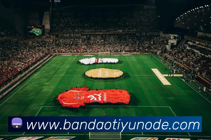 半岛体育APP 封面图